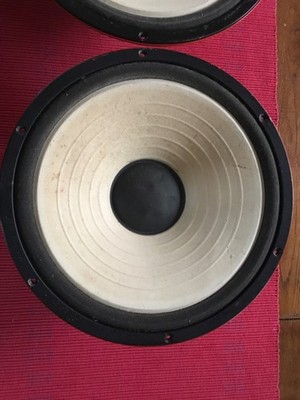 Ein Paar SElenium30w 88 12  Chassis,vgl Eminence RCF Yamaha na