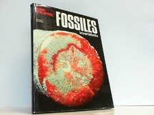 Les Fossiles invertébrés (La Nature et ses ...