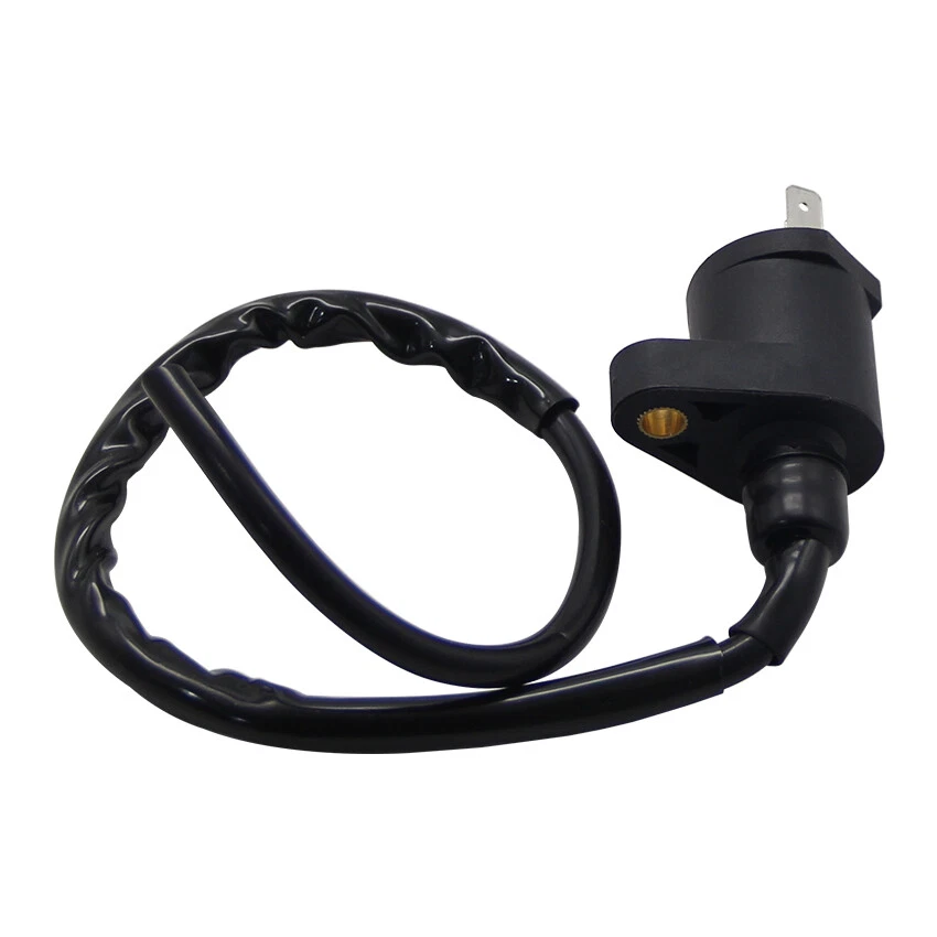 Bobina de encendido para Polaris Phoenix200 05-20/Sawtooth200 Quad 06-07/Predator 50 07 Foto 2 de 4