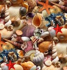 Landscape Medley Fabric - Packed Seashells - Elizabeth's Studio YARD