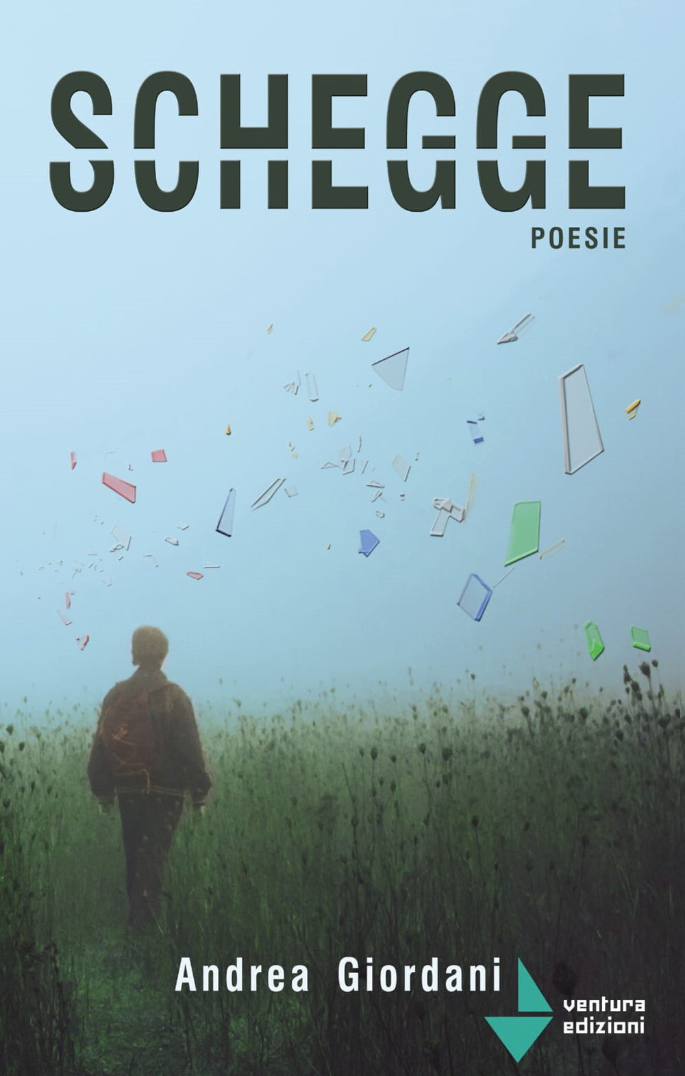 Libri Giordani Andrea - Schegge