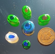  on The Hot Collector