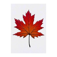 'Maple Leaf' Temporary Tattoos / Transfers TO00048156 