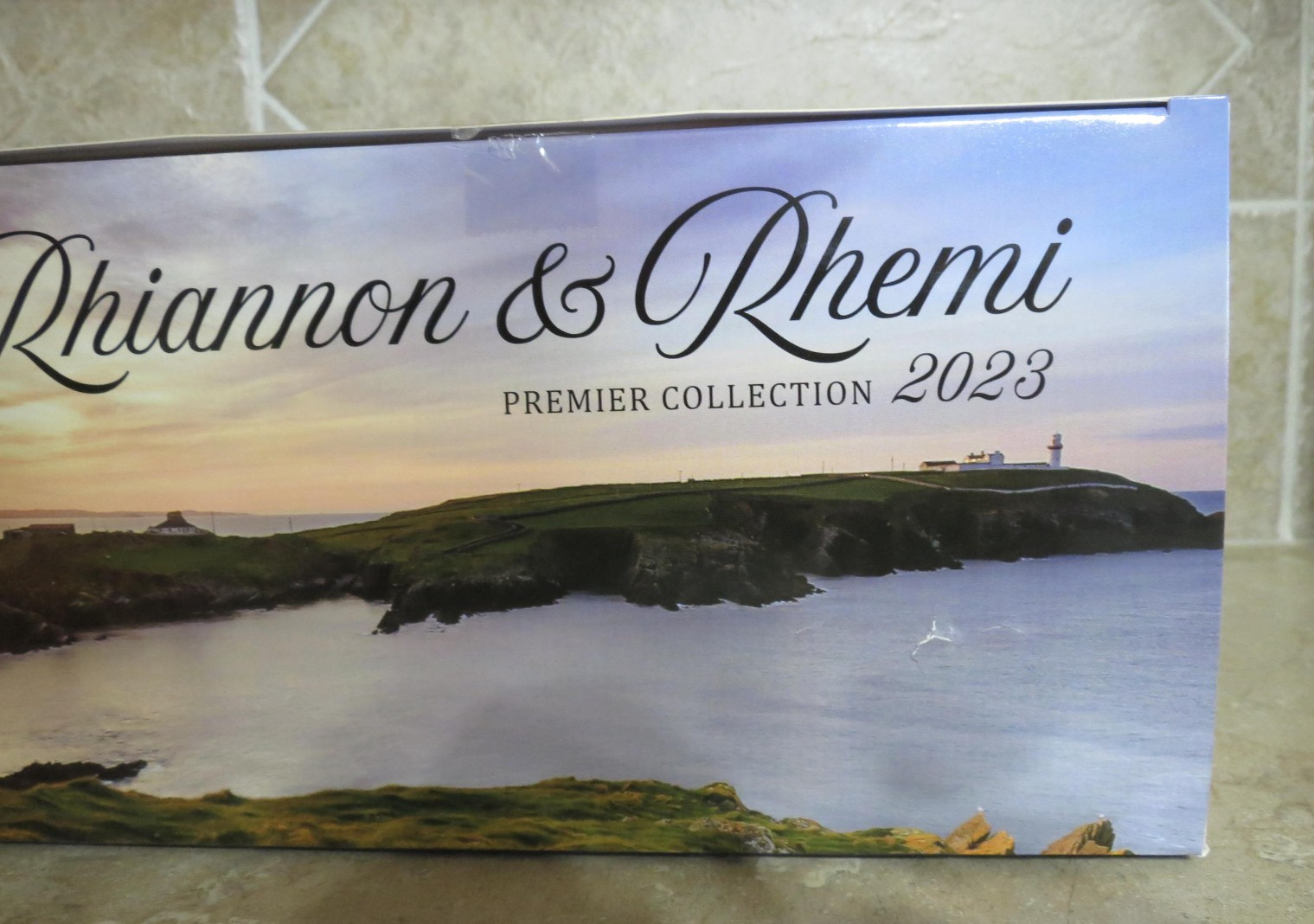 New Open box Breyer Rhiannon Rhemi Premeir club 2023 Vanner horses