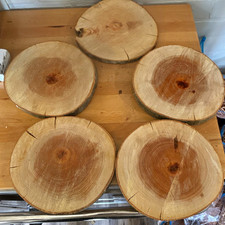Unfinished Natural COTTONWOOD Round Slice Discs w/ Bark Edge, Lot of 5