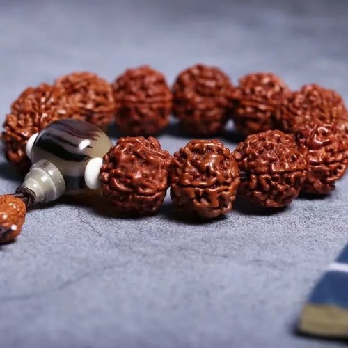 Brazalete Brazalete Amuleto Pulsera Rosario 20mm Natural Auténtico Rudraksha Oración - Imagen 3 de 12
