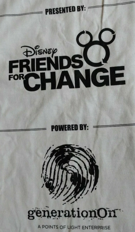 Camiseta Gildan Jóvenes Niños Disney Big Hero 6 Familia Día del Voluntariado Talla L Excelente Foto 4 de 4