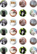 24x PRECUT CUTE KITTENS/CATS/TABBY/PETS/ANIMAL RICE/WAFER PAPER CUP CAKE TOPPERS