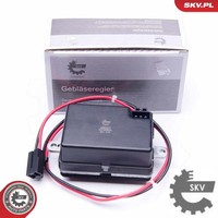 Esen SKV 95SKV077 Widerstand FüR InnenraumgebläSe FüR Jeep