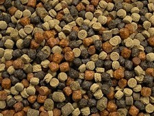 ABF GOURMET FLOATING/SINKING LARGE MIX,Cichlids,Carnivore,Bottom Feeders,ABF91D
