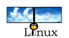 Bild 12 von 20
