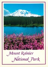 Postcard Mount Rainier National Park in Washington, WA #2
