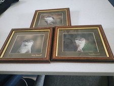 Tony Bennett Set of 3 Framed Pictures Prints of otters. 