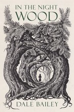 In The Night Wood: A Gothic Literary Dark Fantasy Where Ancient Folklore and...