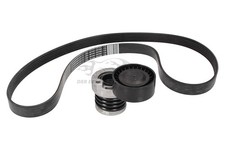 Original Renault Keilriemensatz Kangoo II Clio IV Captur 117209699R