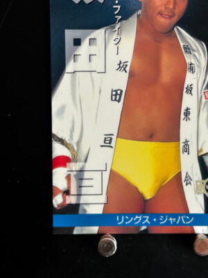 Wataru Sakata Pro Wrestling Card 111 Professional Japanese 1996