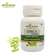 Amla Indian Gooseberry Capsules Natural Immunity Booster Pack of 60 x 500 mg