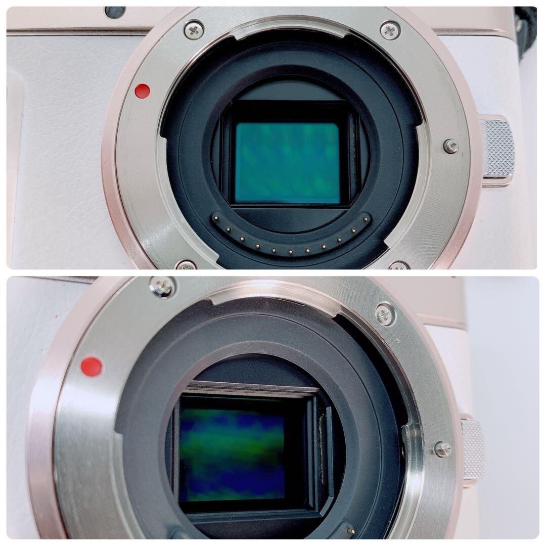 Panasonic Lumix DC-GF10 DC-GF10W Digital Camera Double Lens