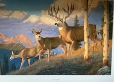 CLEAR PASSAGE - Print By Wildlife Artist Tom Mansanarez - Signed & Numbered