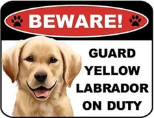 Beware Guard Yellow Lab on Duty v1 9 inch x 11.5 inch Laminated Dog Sign