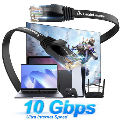 Cat 6 Ethernet Cable 100 Ft, Indoor&Outdoor, High Speed 10Gbps Flat Internet ...