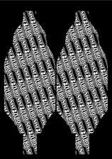 Nine2zero Designs Pre Cut Team Associated RC10 B6.4 Chassis Protector 92zero