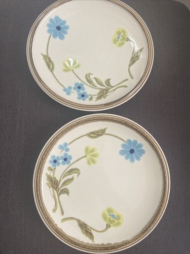 2 Vintage Mikasa Nature's Gallery Country Living Blue Floral 8” Salad Plates - Picture 6 of 8