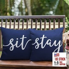 Set of 2,Outdoor Waterproof Throw Pillow 18" x 18" Pack of 2 Navy Blue