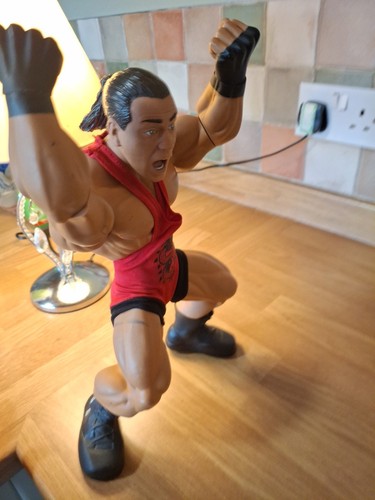 JAKKS WWE RING GIANTS ROB VAN DAM 14" AZIONE POSABILE sciolto 2006 - Foto 23 di 24
