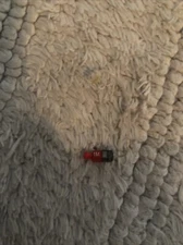 Phonak GN Size 1m Right Receiver - Right Ear