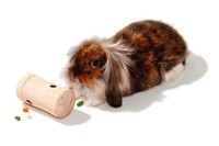 Karlie Rody Snack Roll - 11X6Cm Spielzeug FüR Kaninchen Nager BeschäFtigung Holz