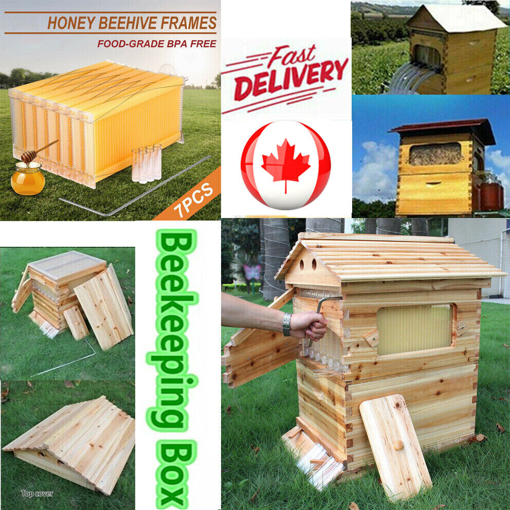 Auto Shed Beehive Super Beekeeping Brood House Box w/ 7 Honey Bee Hive Frames