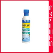 API Algaefix For Tanks 237ml