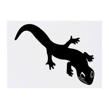 'Gecko' Temporary Tattoos / Transfers TO00029269 