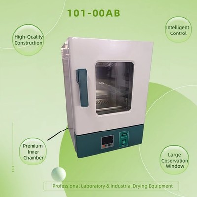 Electrothermal Blowing Dry Box Drying Oven 20L Lab Oven Stainless Steel Chamber