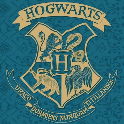 Harry Potter Blankets for Children