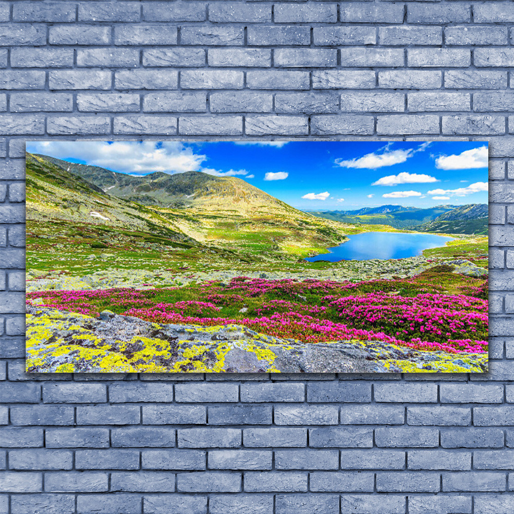 Tableau plexiglas paysage montagne 140x70 cm pour agrandir visuellement un salon sombre