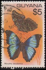 Guyana #289 Used