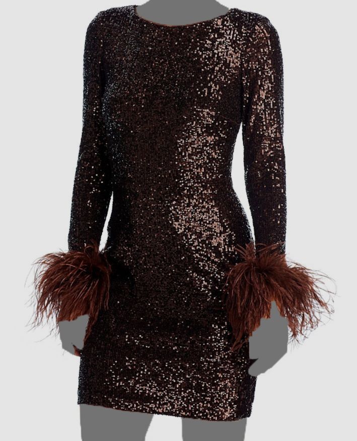 brown dress with feather trim Satin Tab Gown With Feathers in Dark brown Dark Brown main image 1