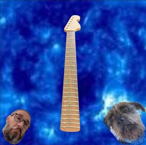 Glorious 21 Fret Mahogany Strat Neck Pearlescent fleur-de-lis Inlays! Posh WIN!!
