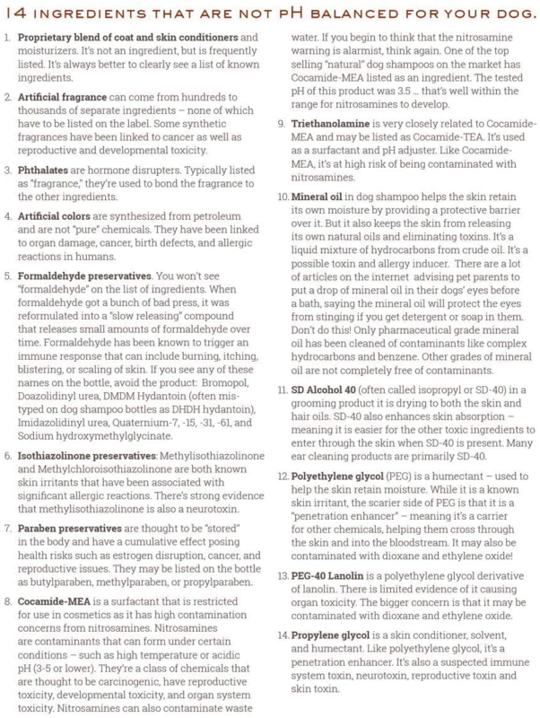 Moosh Natural Dog Shampoo Promotes Healthy Hair, Coat and Skin. Helps