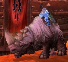 WoW Mount - Wooly White Rhino - World of Warcraft EUROPE Retail