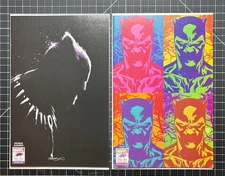 BLACK PANTHER #25 - GLEASON FINE ART , MINIMALISM & SILVA POP ART VARIANTS. 