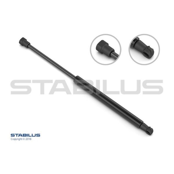 Stabilus Gasfeder DäMpfer Heckklappe FüR CitroëN C5 III Rd_ 2.0 Hdi 165 450788-image