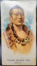 1888 N2 Allen & Ginter American Indian Chiefs "YOUNG BLACK D
