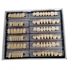 168pc Acrylic Resin Denture Full Set Teeth Upper Lower Shade Tooth Dental 22# A3