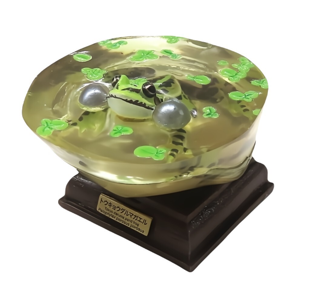 FROGまとめ売り Random Gashapon Japanese Frog Miniature Capsule Mini Figure