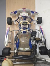 Rotax Max 125cc Kart Plus Honda GX160 Cadet Shark Kart. PLUS EXTRAS
