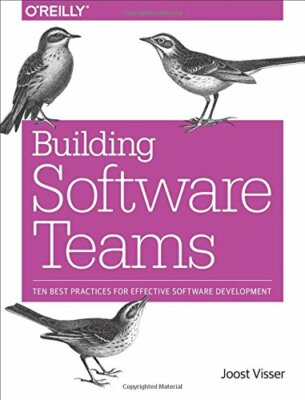Building Software Teams: Ten Best Practices for, Visser, Rigal, Wijnholds, L..