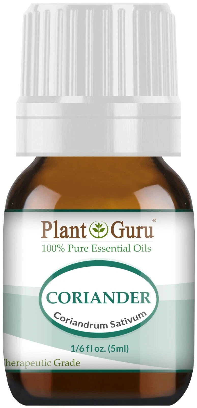 Coriander